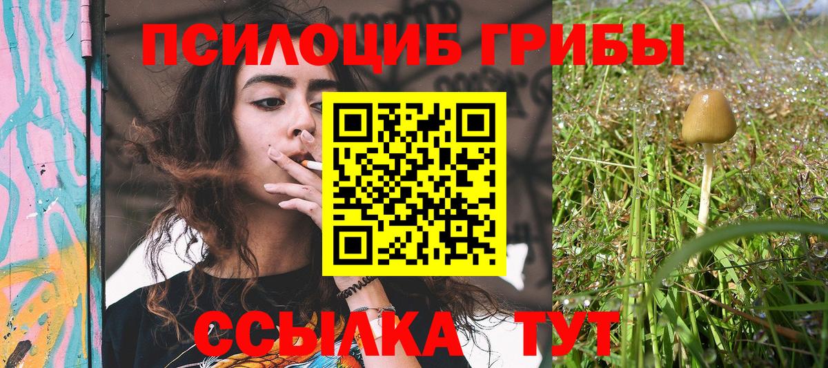 Тулун  Галлюциногенные грибы ЛСД  Вход с VPN  Галлюциногенные грибы GOLDEN TEACHER 
