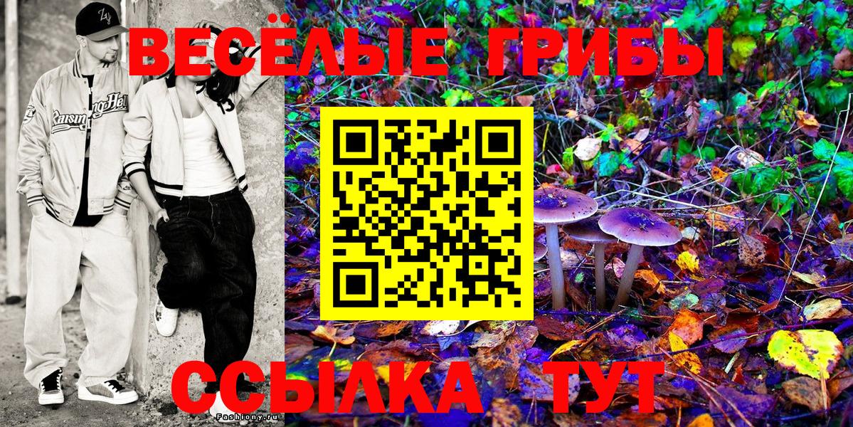 Галлюциногенные грибы Psilocybine cubensis Тулун
